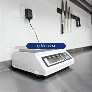 เครื่องชั่งแบบรองรับงานหนัก TRANSMATE SCS