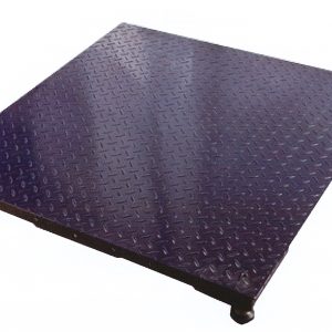 เครื่องชั่งวางพื้น Floor Scale TRANSMATE SCS